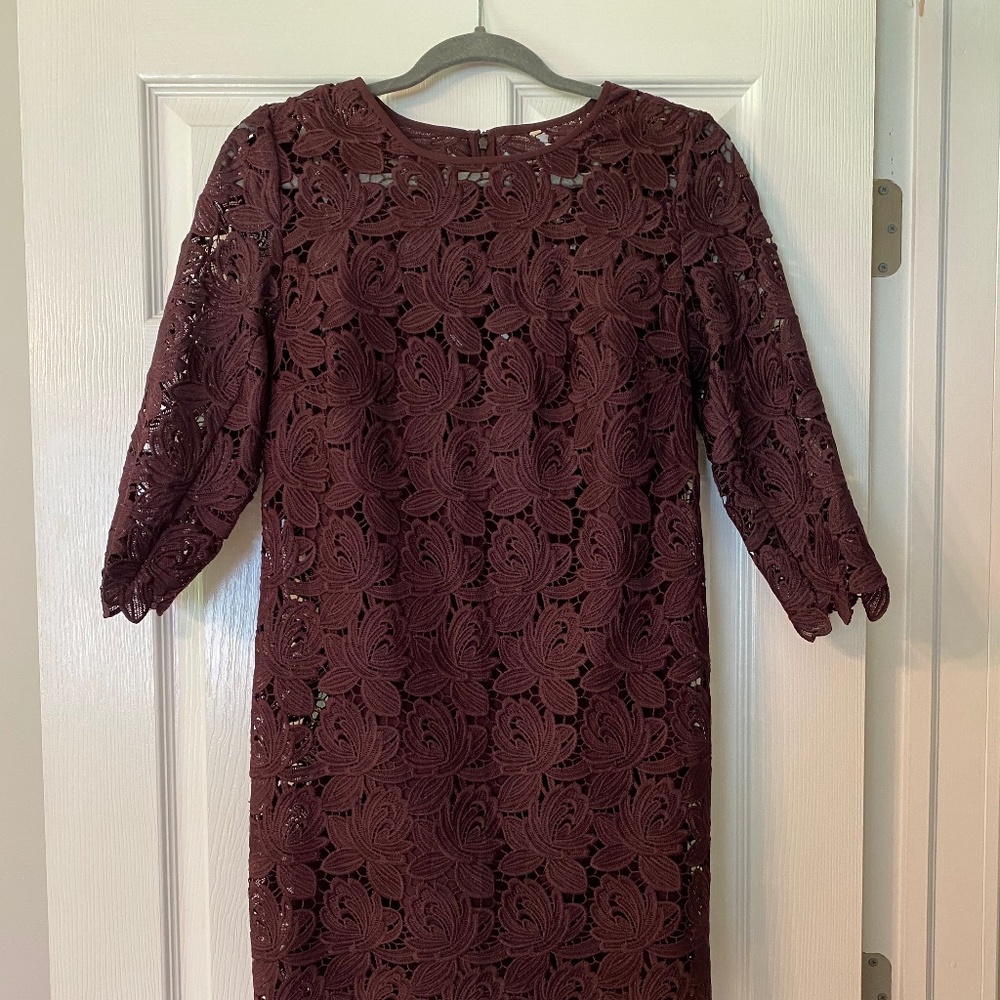 Ann Taylor Loft Lace Shift Dress